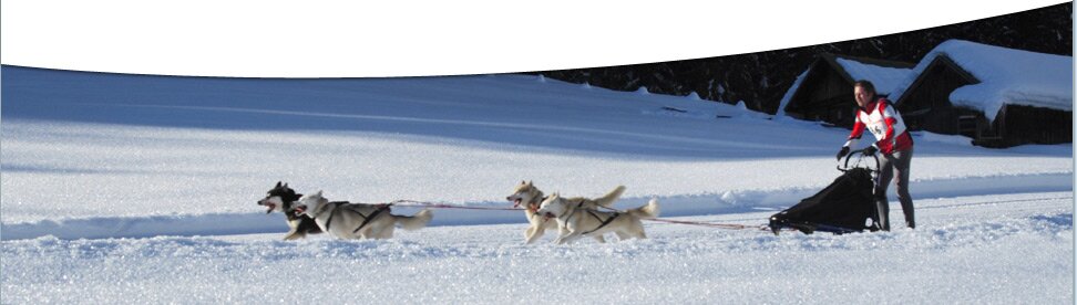 Werfenweng - Cross-country skiing